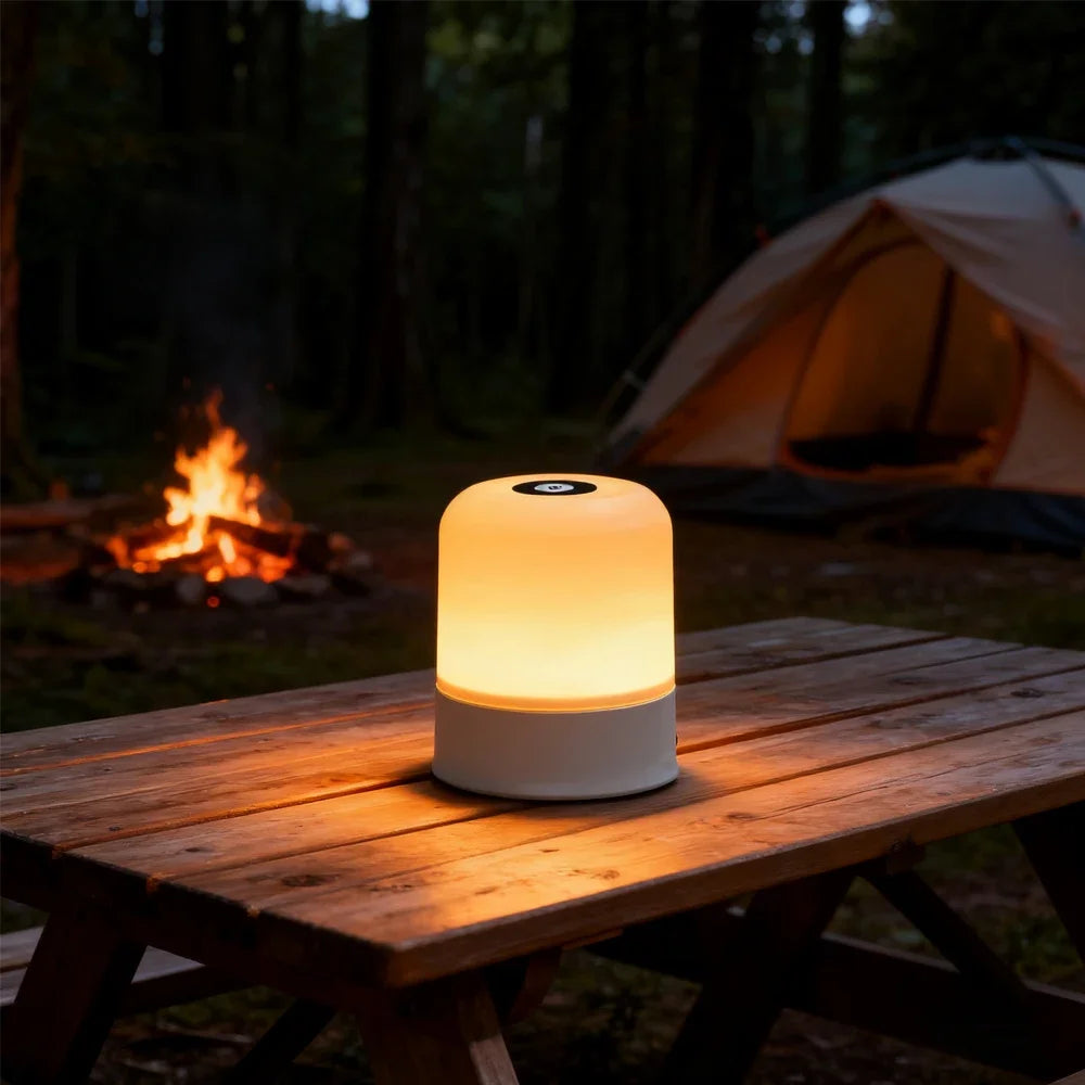 Dimmable Rechargeable and Plug-In LED Night Light with Touchscreen for Bedroom and Desk Use, Decorative RGB Reading Lamp